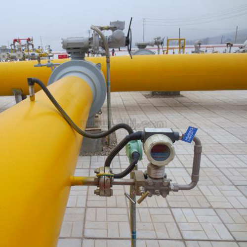 螺桿流量計(jì)技術(shù)分享：SVC10K1F1R2SH型號(hào)解析